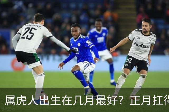 属虎人出生在几月最好？正月扛得早、四月火里带刺、冬月藏进风雪